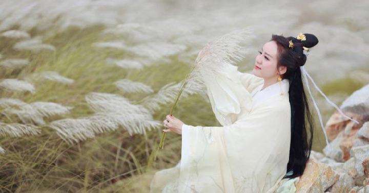 杂咏四首 作者:愚叟心歌