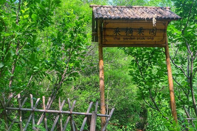 杂咏四首 作者:愚叟心歌（图4）