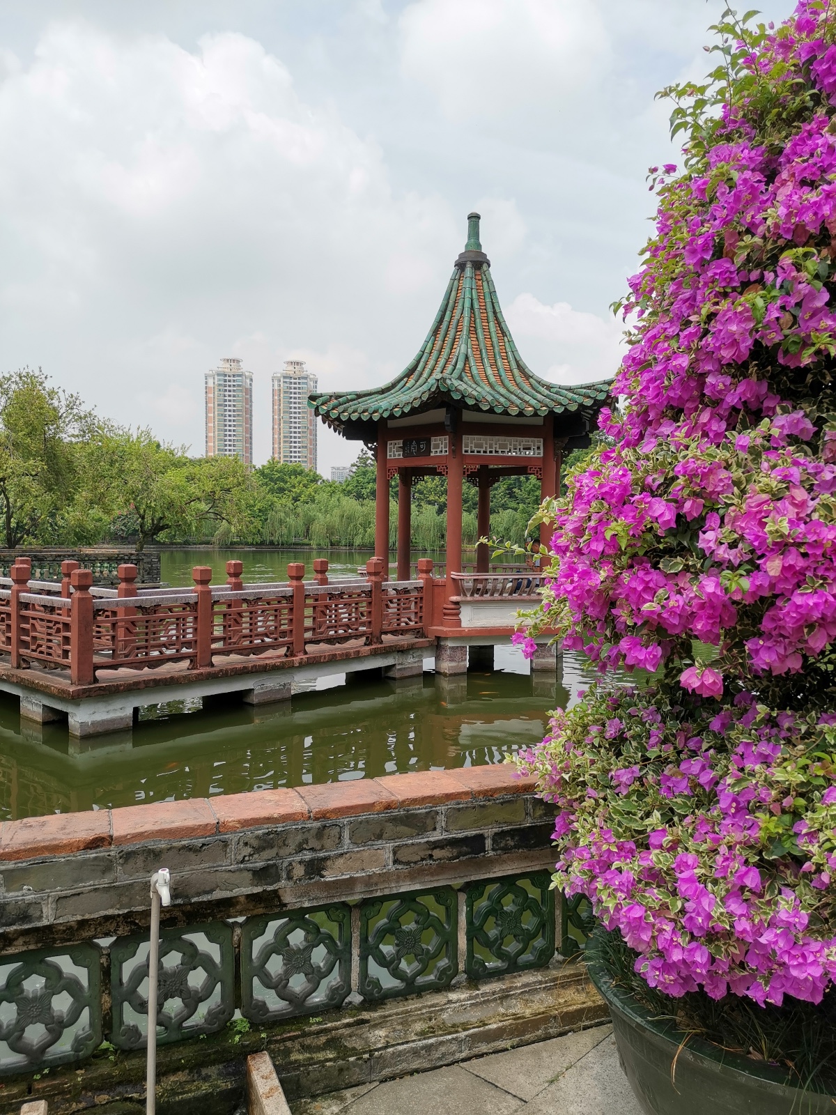 荔香诗社诗人黄妙元作品欣赏（图3）