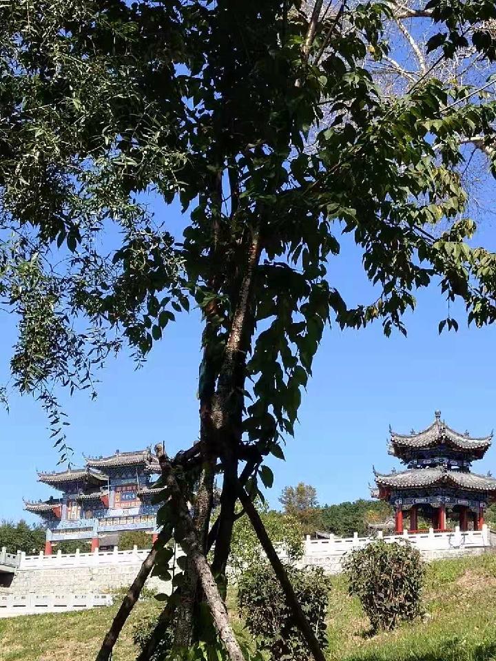 秋天礼赞 文/雪松（图3）