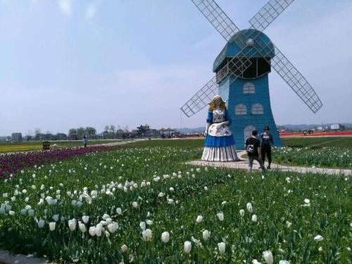 丰秋寄语 文/张志荣（图2）
