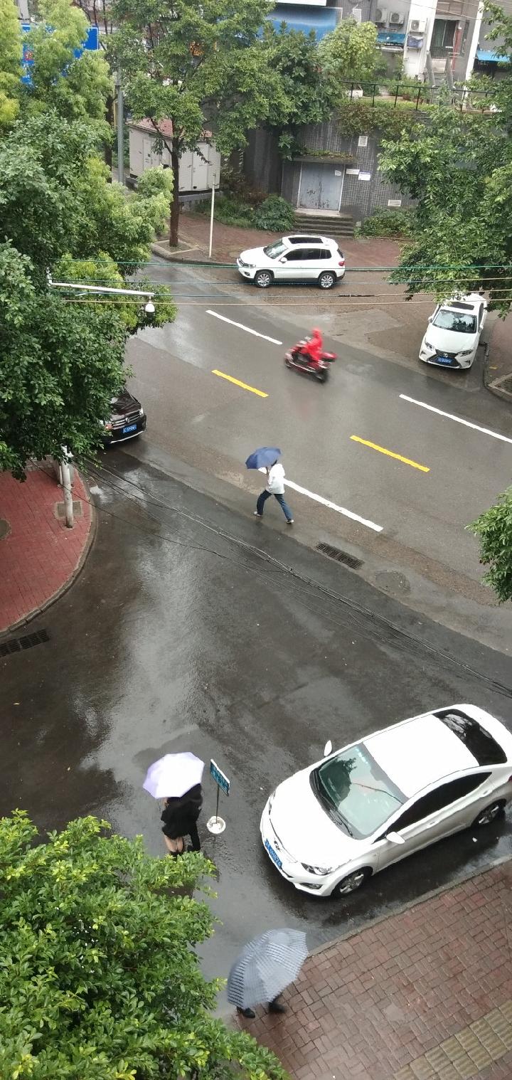 雨