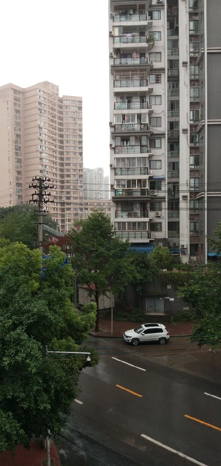 雨（图2）