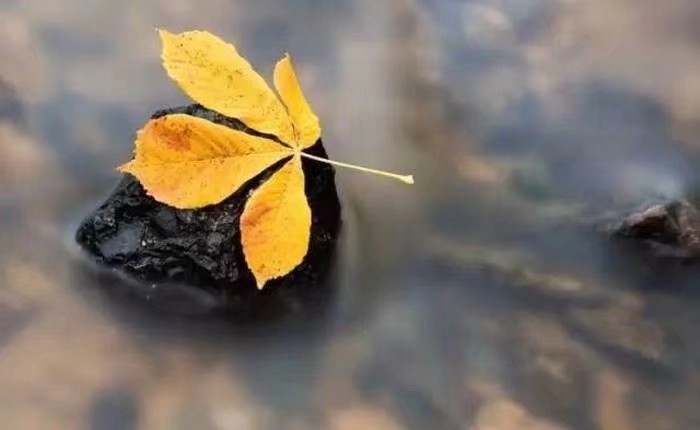 mmexport1568886034316