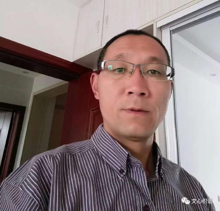 致杨柳 文/屈彦红