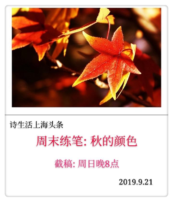 【诗生活】周末练笔‖秋的颜色（二）‖作者:周颖 木羊 浪迹天涯 朱义明 枯树逢春（图2）