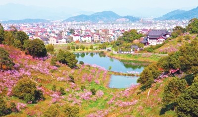 欢度国庆,为祖国点赞!京津沪头条国庆专栏:大美田关 文/屈彦红(图3)