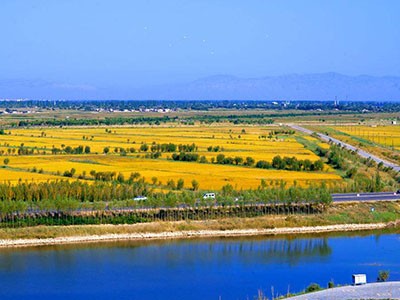 欢度国庆,为祖国点赞!京津沪头条国庆专栏:大美田关 文/屈彦红(图5)
