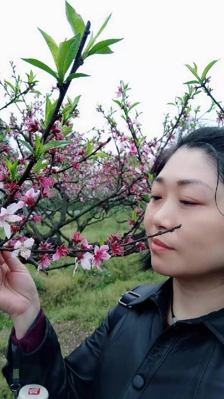 欢度国庆,为祖国点赞!京津沪头条国庆专栏:走进新中国 文/佛缘人生(图3)
