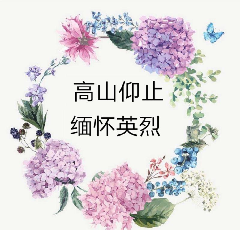 mmexport1569214064807