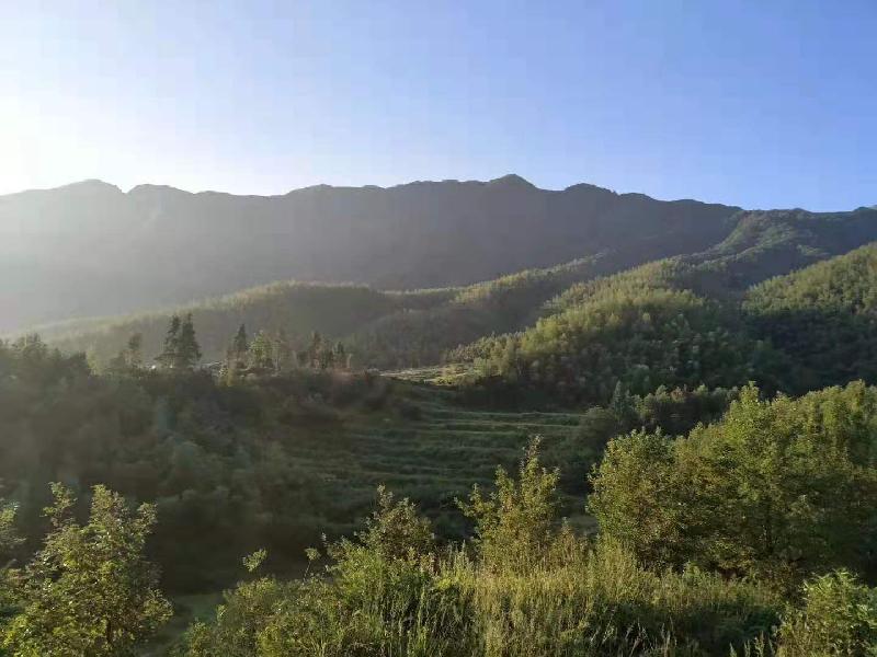 mmexport1569221573899