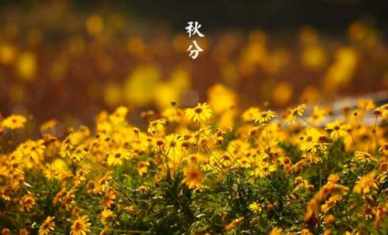 Screenshot_20190923-161217-766