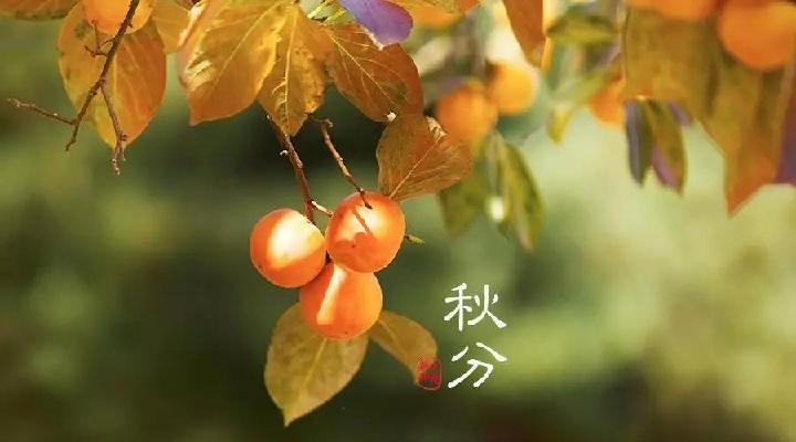 【诗生活】特刊‖秋分（二）‖作者: 张雅掀 程志强 红菁树 朱义明 木羊