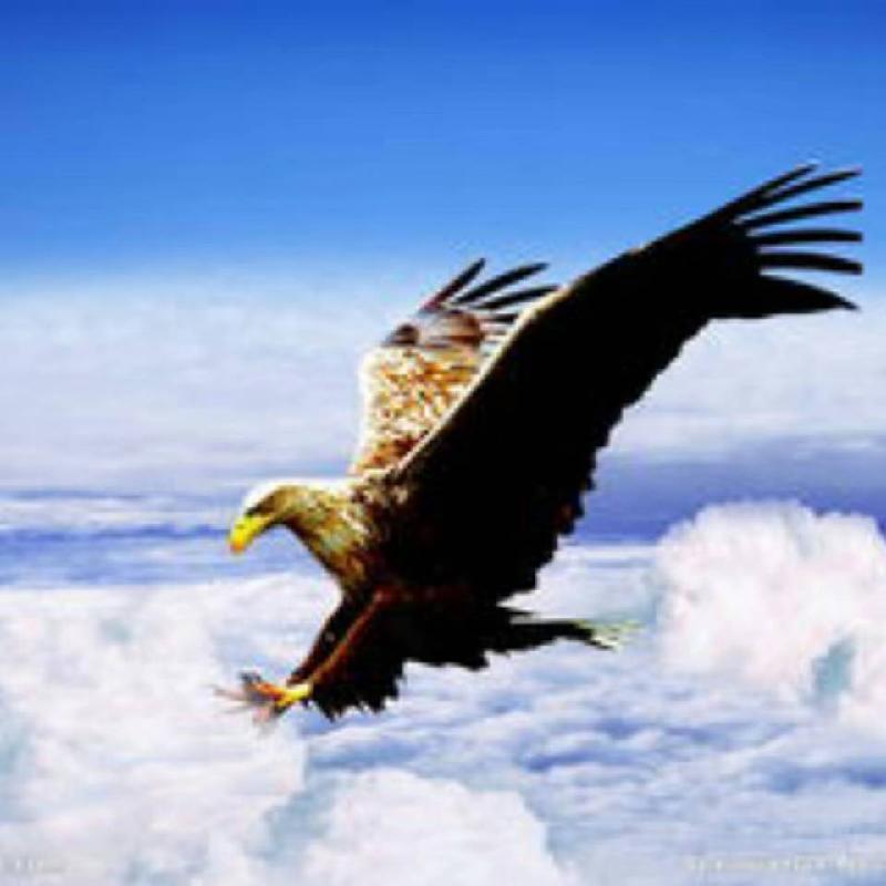 hdImg_346bf2ac8faa6116c8997d4acfaf0f3b1568129842989