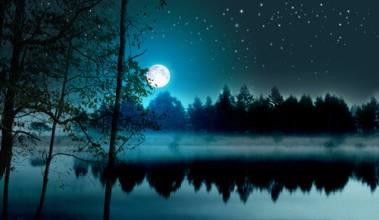 星夜随笔 文/张志荣