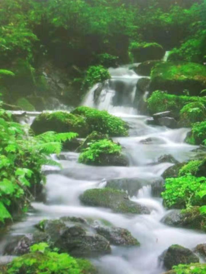 【诗生活】短诗精选‖人在山水间 文/彭郁青（图2）