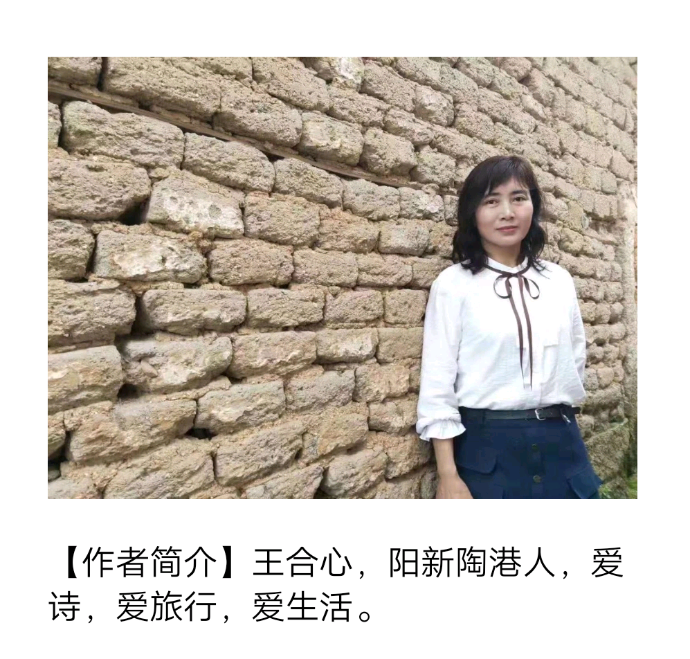 【诗生活】推荐诗人‖绿野(图2)