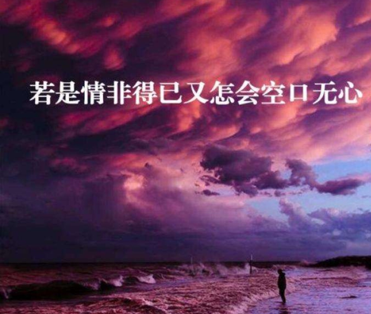 孤独是脆弱 任寂寞在深夜里悱恻 在漆黑的夜里飘落 无爱无恨都是缺憾