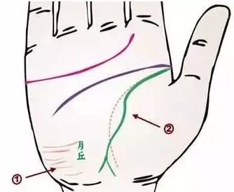 24种疾病的手诊特征（图6）