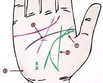 24种疾病的手诊特征（图12）