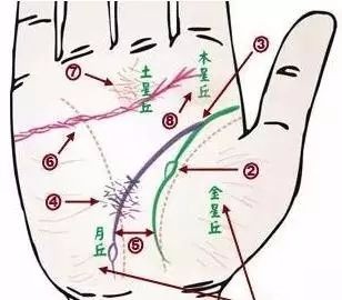 24种疾病的手诊特征（图13）