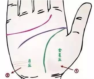 24种疾病的手诊特征（图18）