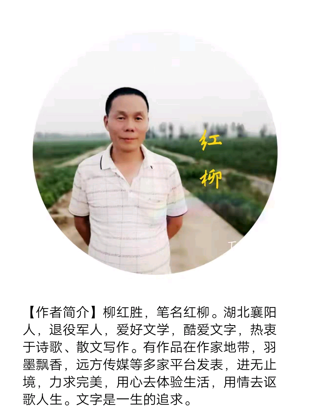 【诗生活】小小说连载‖叶子笑了(一)弃婴‖作者:红柳(图2)