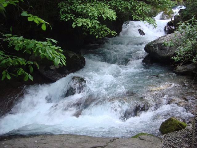雨水向左 文/唐红云
