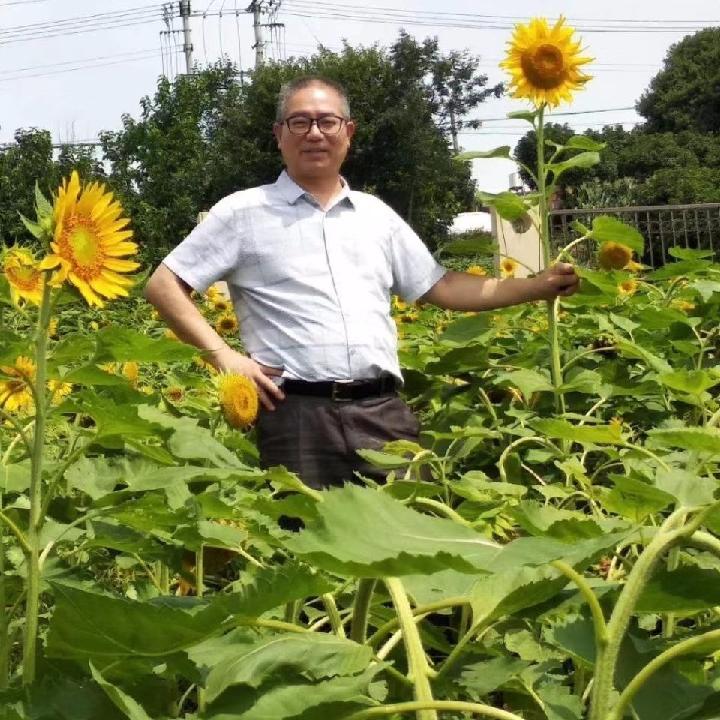 回文诗二首 文/郑文華（图3）