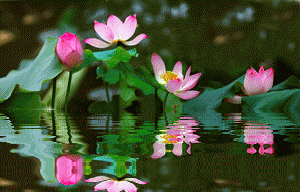 宋劲:先锋期刊《人生重晚晴》微小说第十一期(总第369期)的作品(图5)