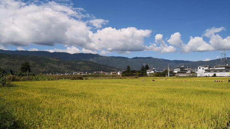 wx_camera_1569643730134