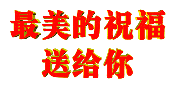 timg-1339