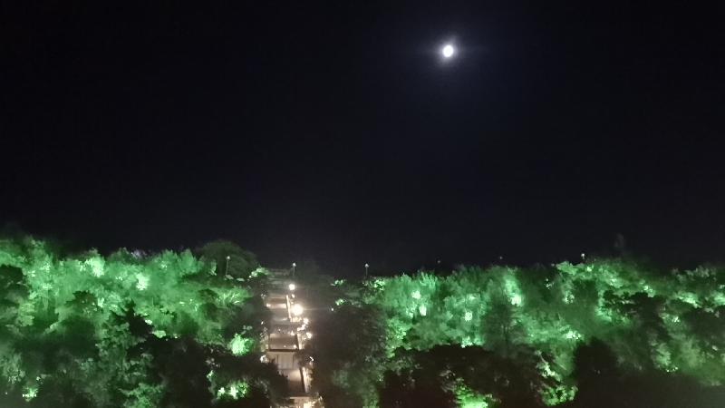 wx_camera_1570364277563