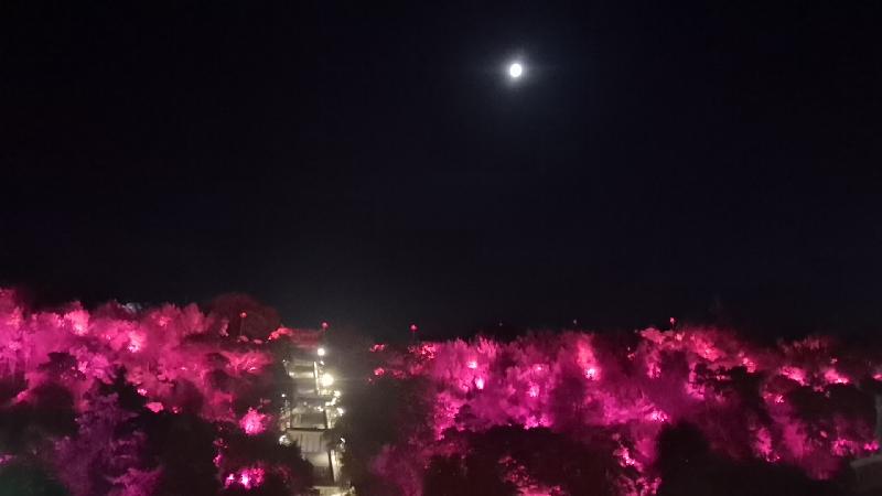 wx_camera_1570364221465