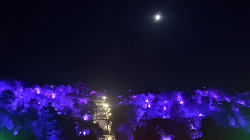 wx_camera_1570364235917