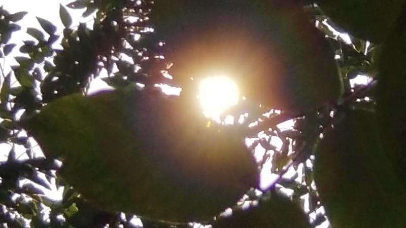 20191007_145652