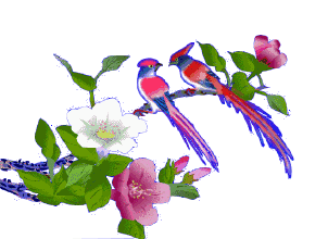 742d06f61dbe4cfba33c9c0c7cb7cf1d