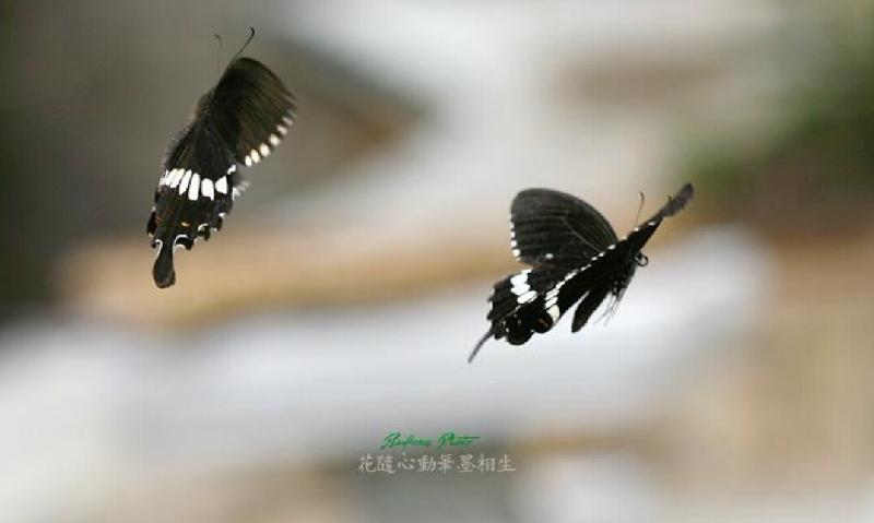 Screenshot_20191009-235825-507