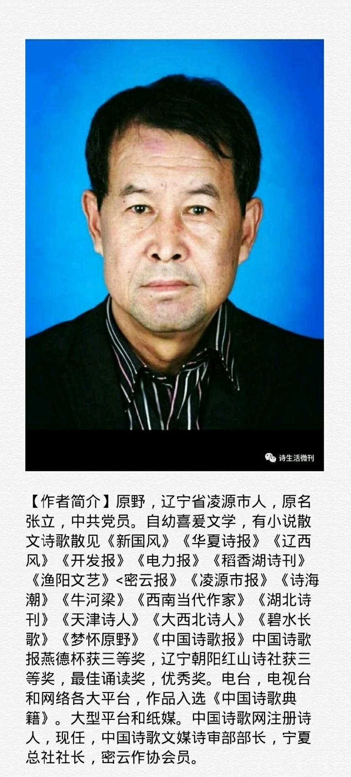 【诗生活】诗优选‖柿子黄了 文/原野（图2）