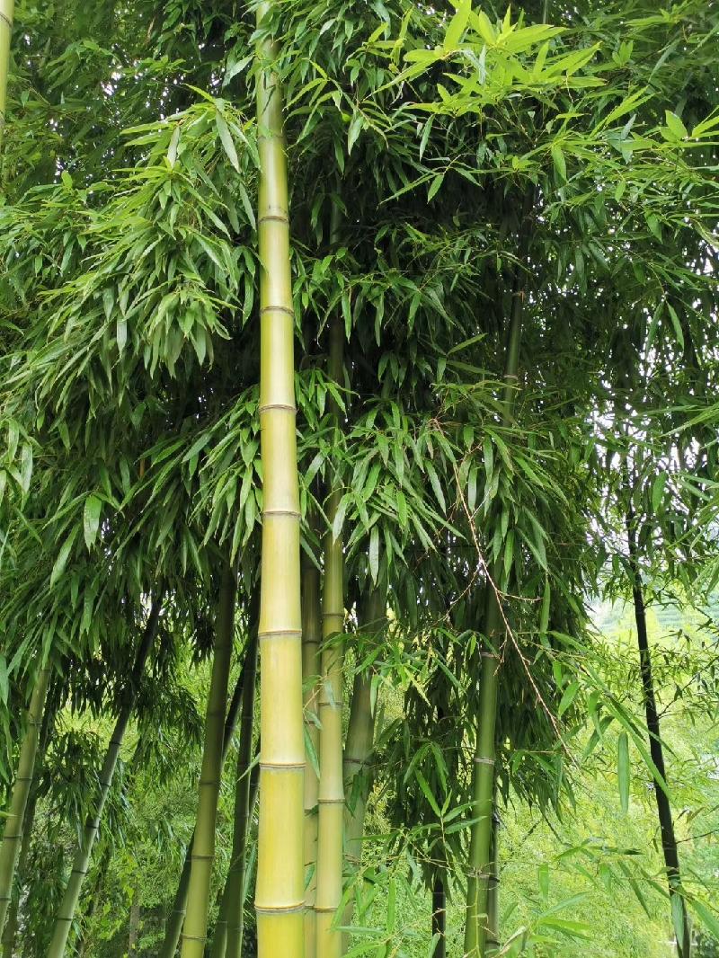 mmexport1566610259211