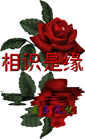 timg-894