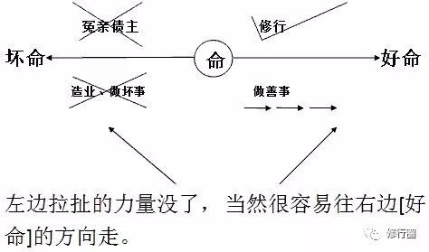 改造命运的终极秘籍(大泄天机)（图19）