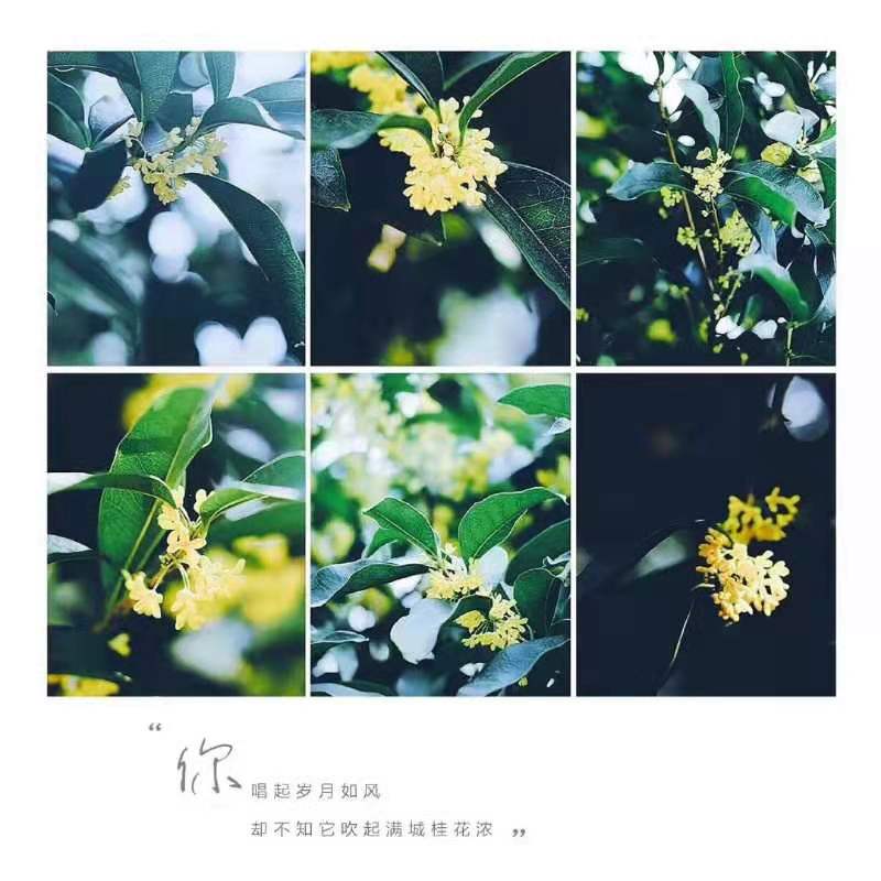 4E8D4F1A-6B37-409E-BCF7-F86119CA8ED2