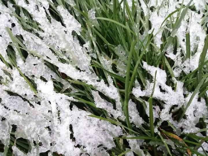 又见雪花飘 文/赵正霞