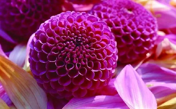 十世遗风：经方的故事(10集全文)[精]（图8）