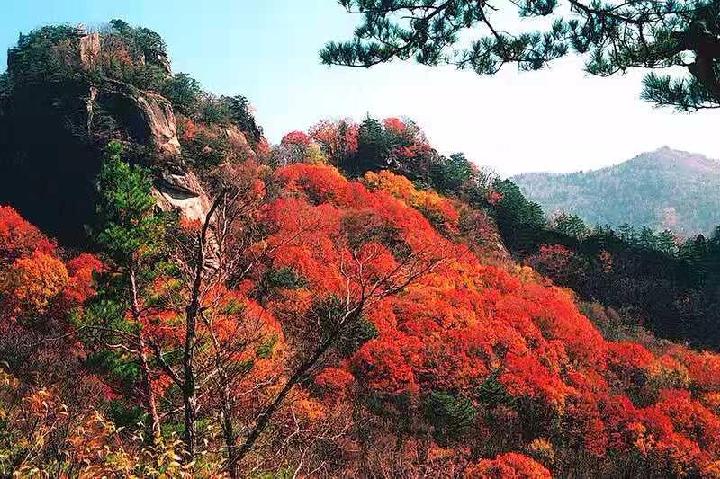 暮秋 文/冬天的梅（图2）