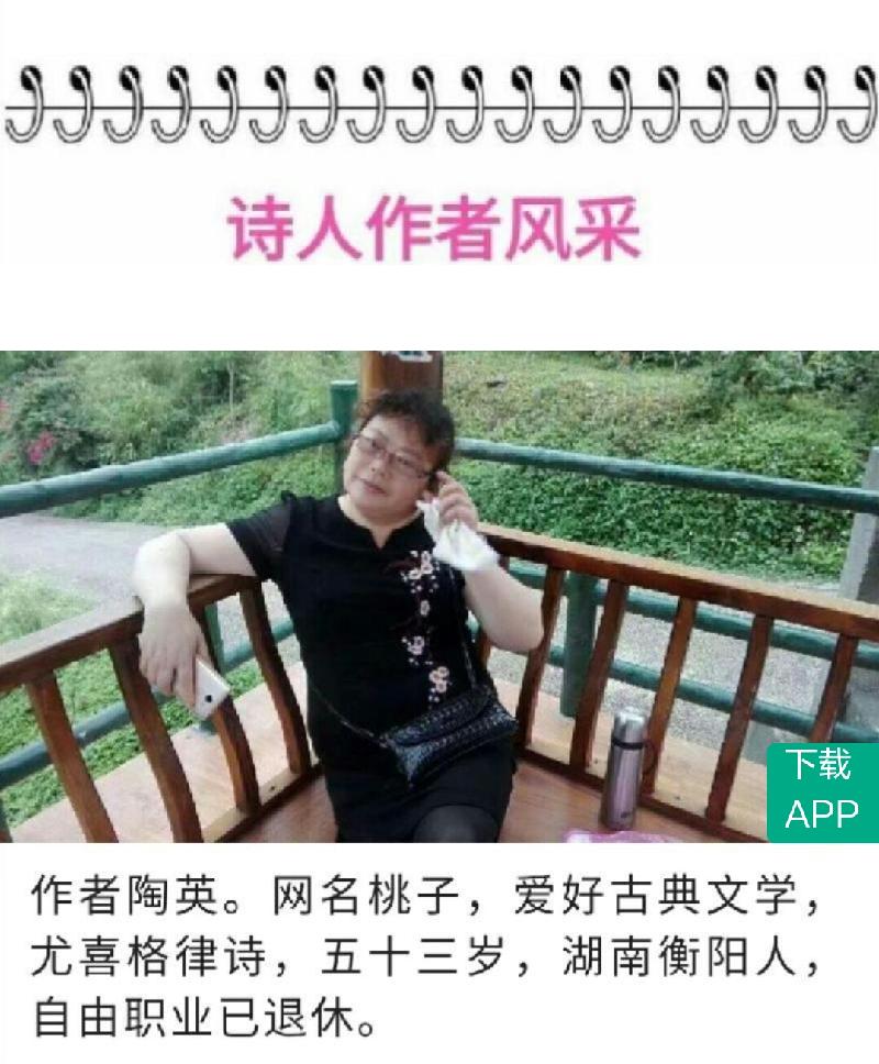 Screenshot_20191021-234335-155