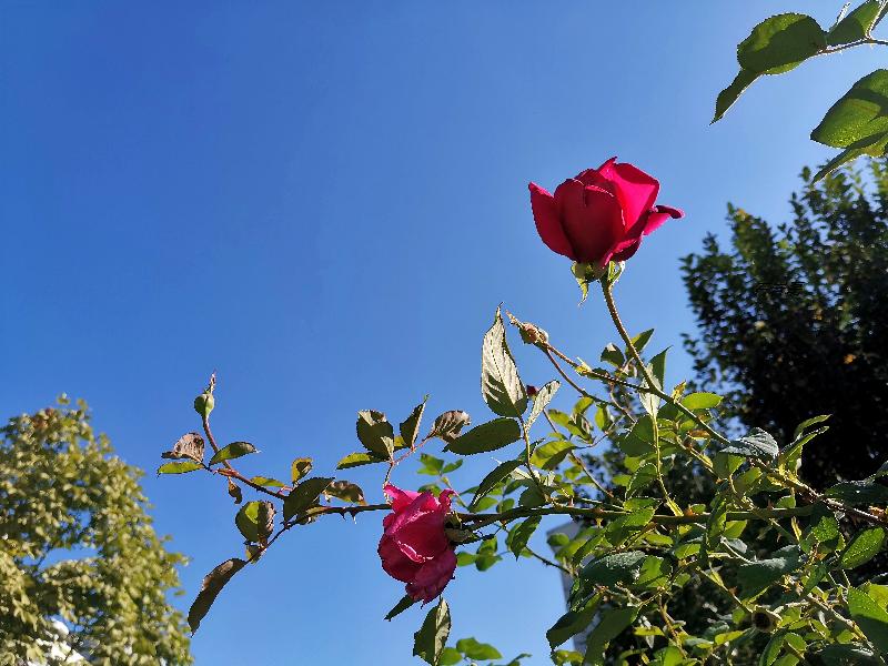 IMG_20191026_193104