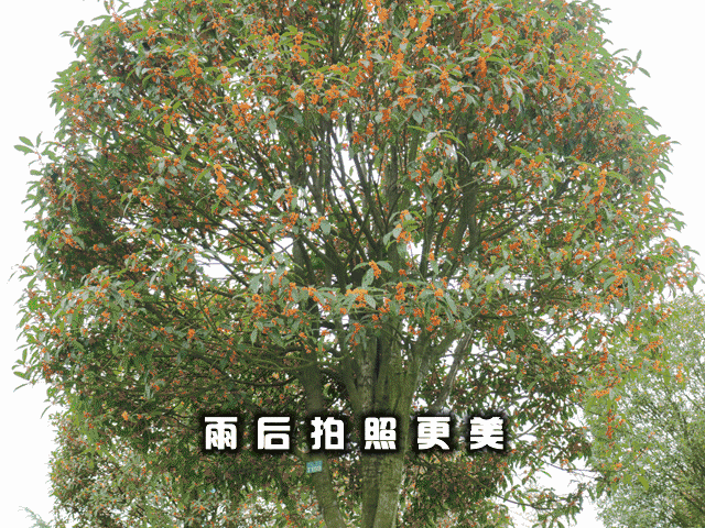 timg-2101