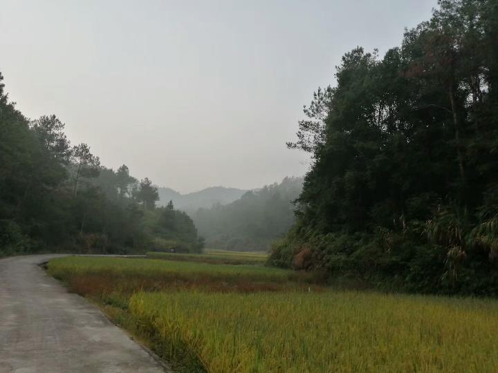 秋末 文/心中雨点